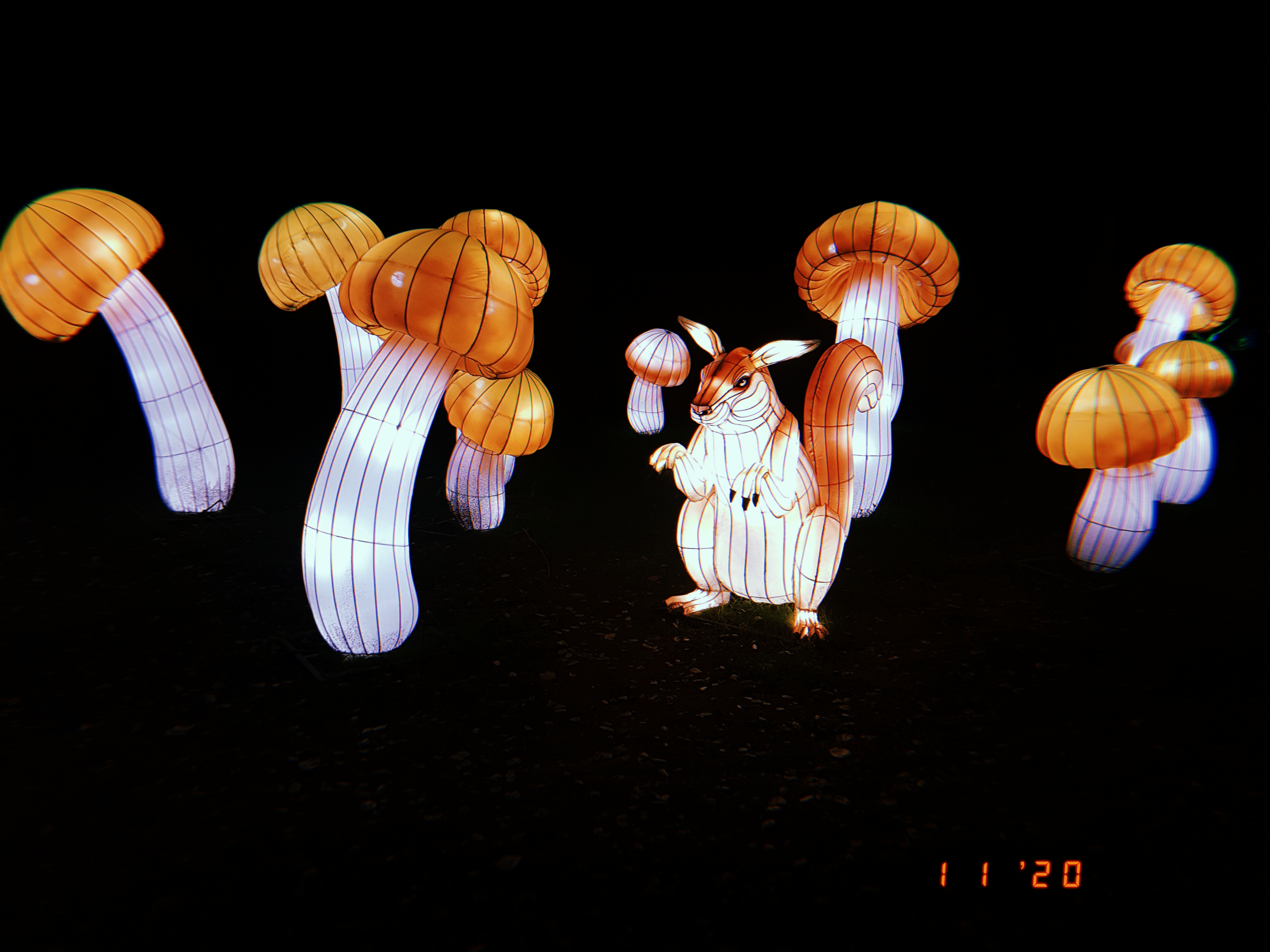 img3